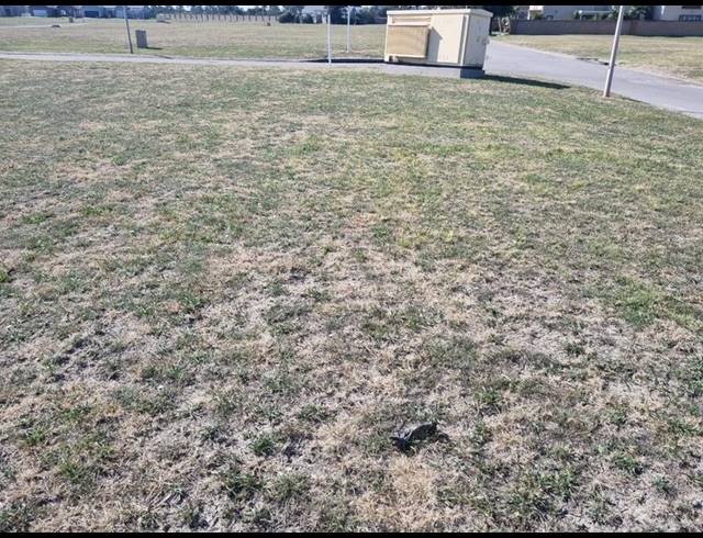 LAND FOR SALE IN RIVERSPRAY LIFESTYLE ESTATE